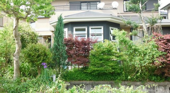 dscf2601.jpg
